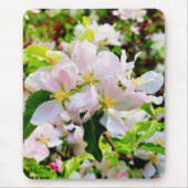 Schönes Malus asiatica Foto Mousepad (Vorne)