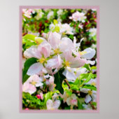 Schönes Malus asiatica Foto Poster (Vorne)