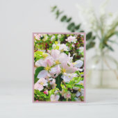 Schönes Malus asiatica Foto Postkarte (Stehend Vorderseite)