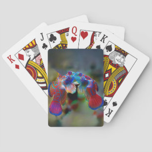 Schönes Mandarin Fisch Deck spielen Karten Spielkarten