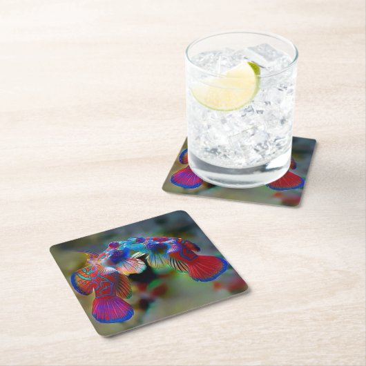 Schönes Mandarin Fish Untersetzer Set (Vor Ort)