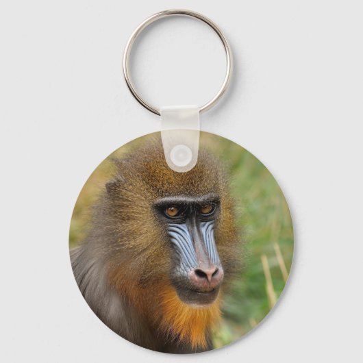 Schönes Mandrillportrait Schlüsselanhänger (Vorderseite)