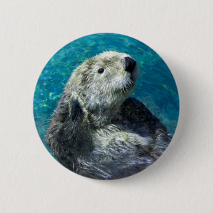 Schönes Meer Otter Niedliches blaues Wasser Button