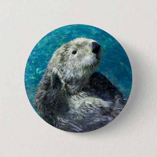 Schönes Meer Otter Niedliches blaues Wasser Button (Vorderseite)