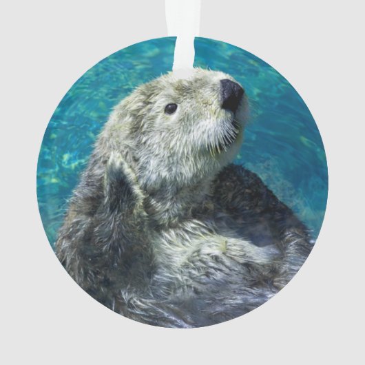 Schönes Meer Otter Niedliches blaues Wasser Ornament (Rückseite)