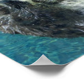 Schönes Meer Otter Niedliches blaues Wasser Poster (Ecke)