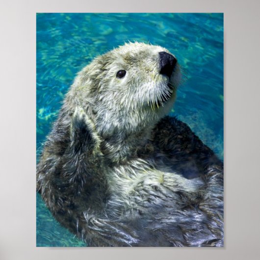 Schönes Meer Otter Niedliches blaues Wasser Poster (Vorne)
