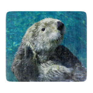 Schönes Meer Otter Niedliches blaues Wasser Schneidebrett