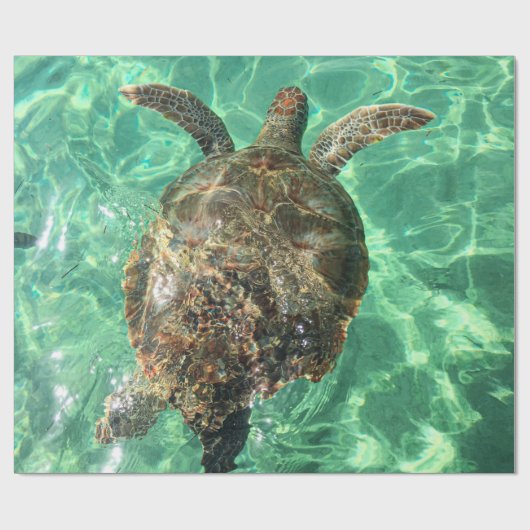 Schönes Meeresleben Geschenkpapier (Flach)