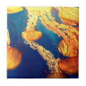 Schönes Meeresleben: Goldene Quallen Fliese (Vorderseite)