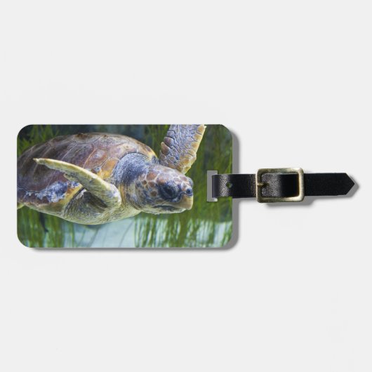 Schönes Meeresschildkrötenschwimmen Gepäckanhänger (Vorderseite horizontal)