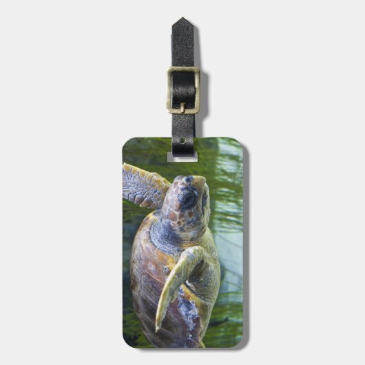 Schönes Meeresschildkrötenschwimmen Gepäckanhänger (Vorderseite vertikal)
