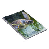 Schönes Meeresschildkrötenschwimmen Notizblock (Rechte Seite)