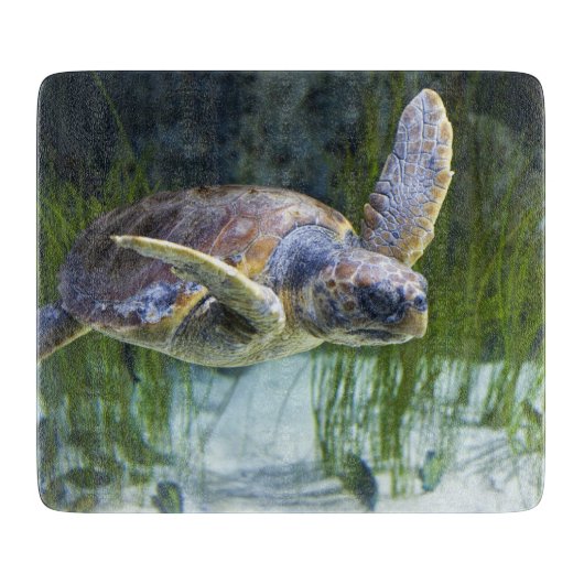 Schönes Meeresschildkrötenschwimmen Schneidebrett (Vorderseite)