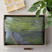 Schönes Meeresschildkrötenschwimmen Seidenpapier (Geschenk)