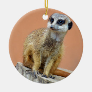 Schönes meerkat keramikornament