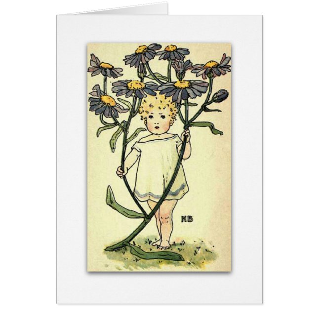 Schönes Michaelmas Gänseblümchen durch NELLIE (Vorne)