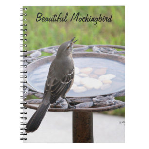 Schönes Mockingbird Birdbath Notebook Notizblock