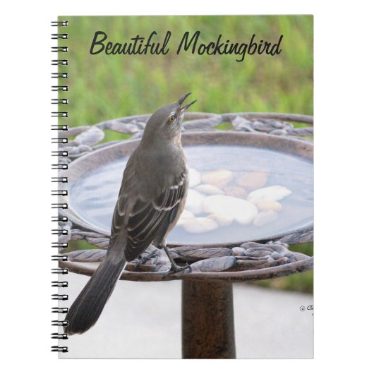 Schönes Mockingbird Birdbath Notebook Notizblock (Vorderseite)