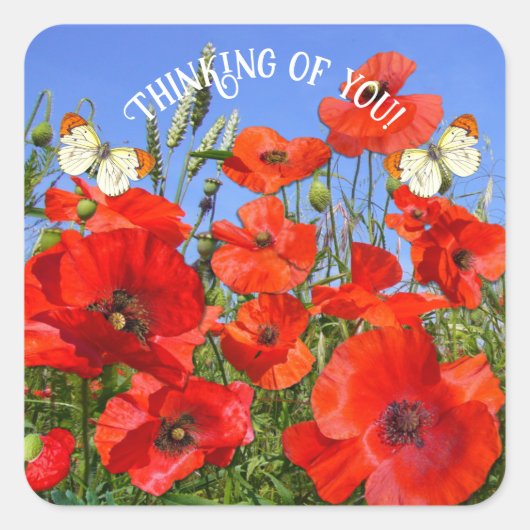 Schönes Mohnfeld Quadratischer Aufkleber (Vorderseite)