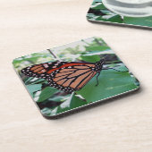 Schönes Monarch Butterfly Untersetzer Set (Linke Seite)