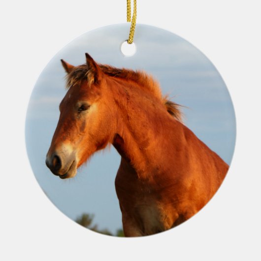 Schönes Mule Horse Keramik Ornament (Vorne)