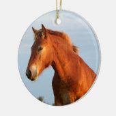 Schönes Mule Horse Keramik Ornament (Links)