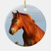 Schönes Mule Horse Keramik Ornament (Hinten)