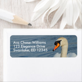 Schönes Mute Swan in Hafengewässern