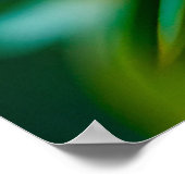 Schönes Nah-Up blühender weißer Peonies Poster (Ecke)