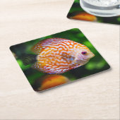 Schönes Nah-Up einer Fischart Rechteckiger Pappuntersetzer (angewinkelt)