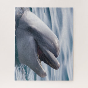 Schönes Nah-up eines Dolphins Puzzle