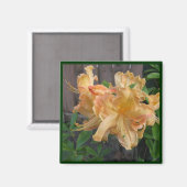Schönes Nahes Daylilly Magnet (Vorderseite/Rückseite)