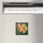 Schönes Nahes Daylilly Magnet (In Situ (Geschirrspüler))