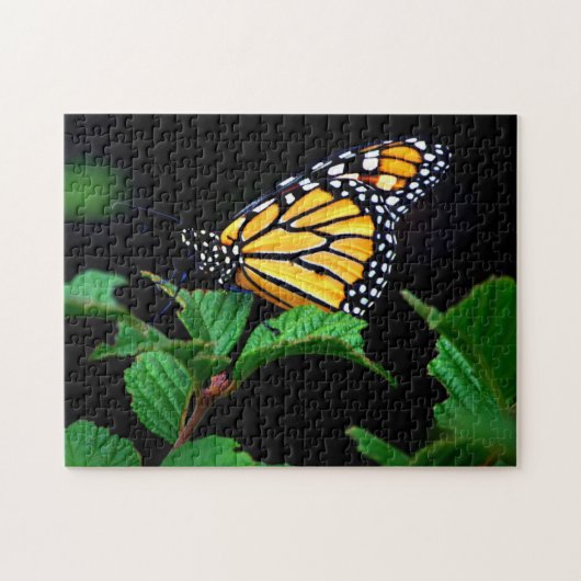 Schönes Nahes Monarch Butterfly-Puzzle Puzzle (Horizontal)