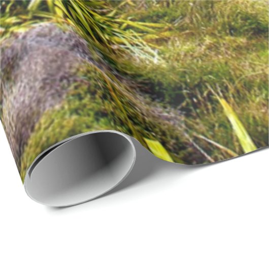 Schönes Neuseeland Geschenkpapier (Rolleneckpunkt)