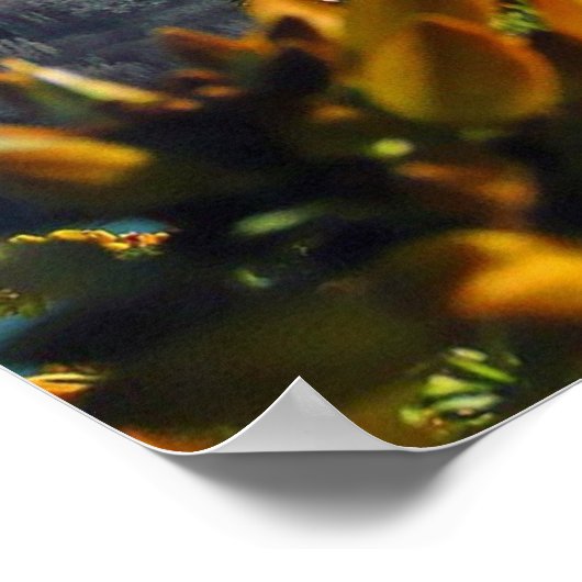 Schönes Neuseeland Poster (Ecke)