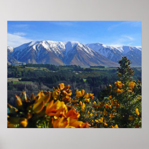 Schönes Neuseeland Poster