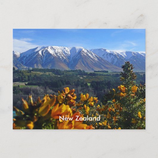 Schönes Neuseeland Postkarte (Vorderseite)