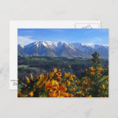 Schönes Neuseeland Postkarte (Vorne/Hinten)