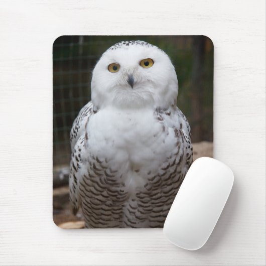 Schönes niedliches Schwarzwaldbild Mousepad (Mit Mouse)