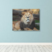 Schönes nordafrikanisches Löwenruhen Leinwanddruck (Insitu (Holzboden))