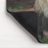 Schönes nordafrikanisches Löwenruhen Mousepad (Ecke)