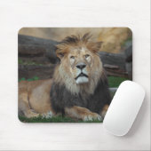 Schönes nordafrikanisches Löwenruhen Mousepad (Mit Mouse)