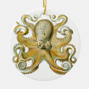 Schönes Oktopus-Bild von Haeckel Keramikornament
