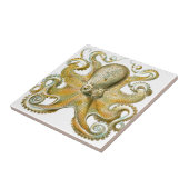 Schönes Oktopusbild von Haeckel Fliese (Seite)