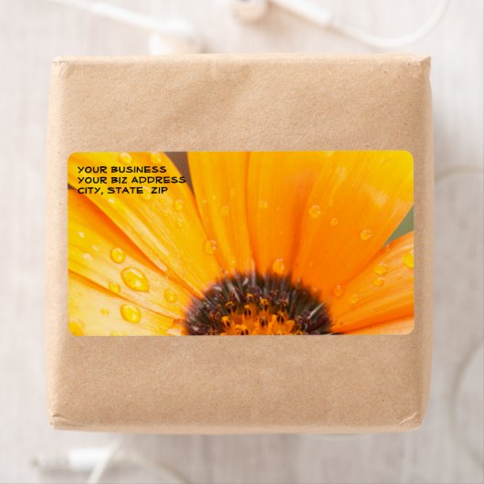 Schönes Orange Daisy Halbblutbild Nah-up (Insitu)