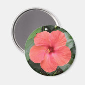 Schönes Orange Hibiskus Blume Magnet (Vorderseite/Rückseite)