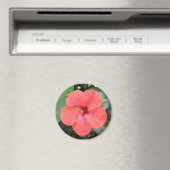 Schönes Orange Hibiskus Blume Magnet (In Situ (Geschirrspüler))