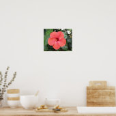 Schönes Orange Hibiskus Blume Poster (Küche)